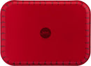Tefal, Les Specialistes 25×19 cm Rectangular Roaster