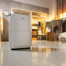 Delonghi, Dehumidifier 25 Liters